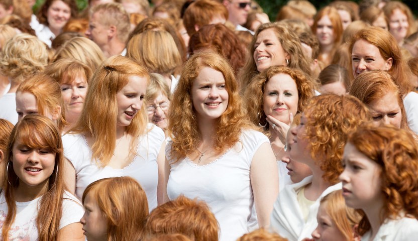 Redhead Day in Holland